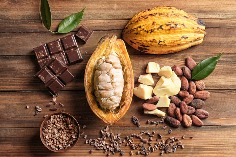 Proveedor de Derivados de cacao​